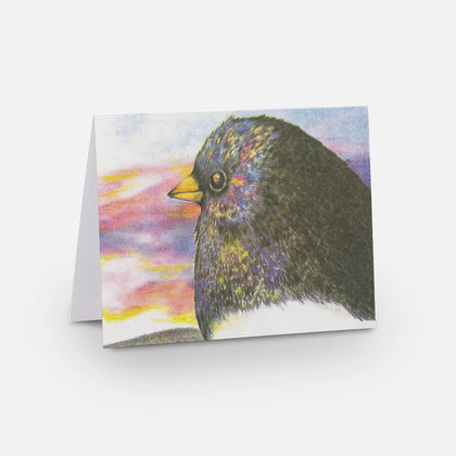 Cards