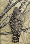 "Flight Plans" Giclee Print by Carol Moore