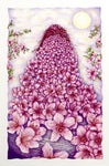 "Cherry Blossom Queen" Giclee Print by Carol Moore