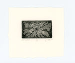 "Delicate" Intaglio Etching by Xavier Byrdlee