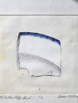 "19c. Feather Edge Sherd" Drypoint Print with Watercolor by Corrine Wilson