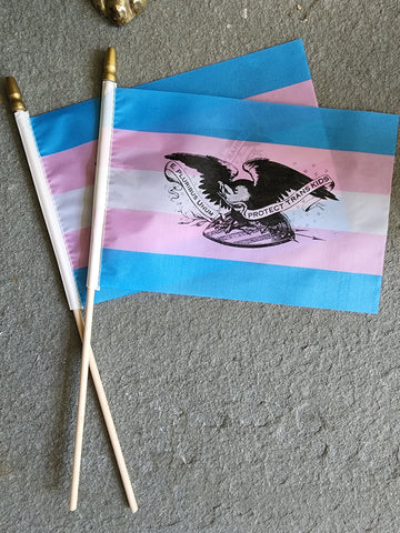 "Protect Trans Kids Eagle"© Small Trans Stick Flag